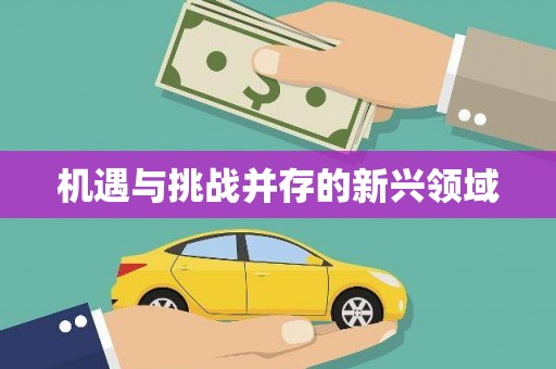 杂多机遇与挑战并存的新兴领域