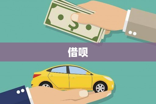 杂多借呗