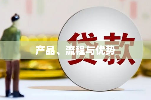 杂多产品、流程与优势