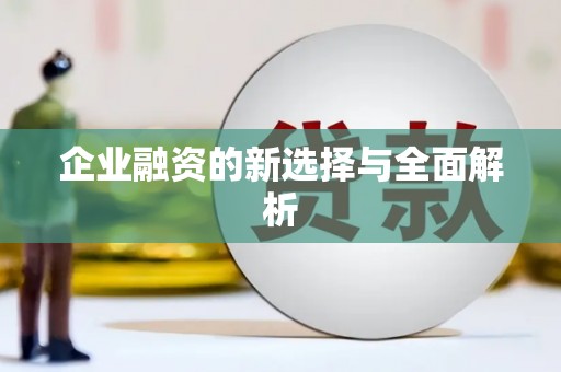 杂多企业融资的新选择与全面解析