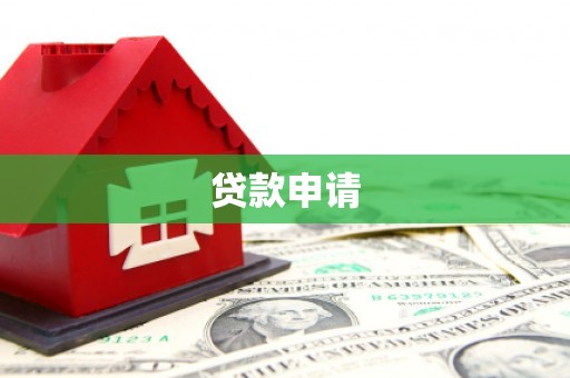 杂多贷款申请