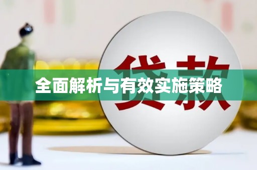 杂多全面解析与有效实施策略
