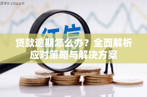 杂多贷款逾期怎么办？全面解析应对策略与解决方案