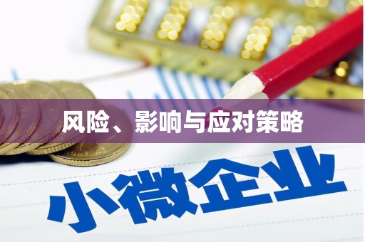 杂多风险、影响与应对策略