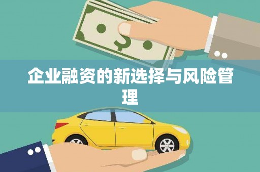 杂多企业融资的新选择与风险管理