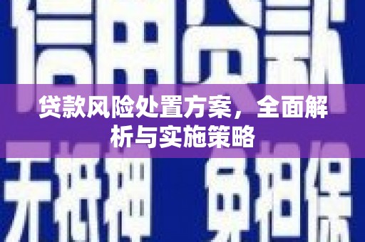 杂多贷款风险处置方案，全面解析与实施策略