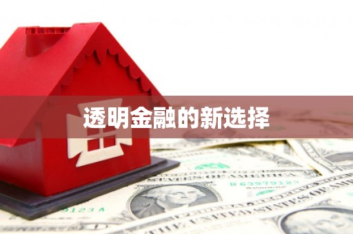 杂多透明金融的新选择