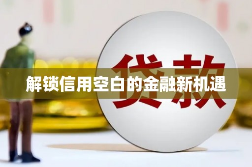 杂多解锁信用空白的金融新机遇
