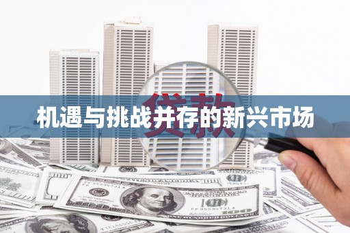 杂多机遇与挑战并存的新兴市场
