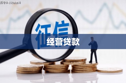 杂多经营贷款