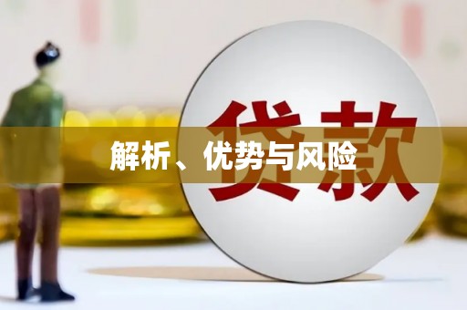 杂多解析、优势与风险