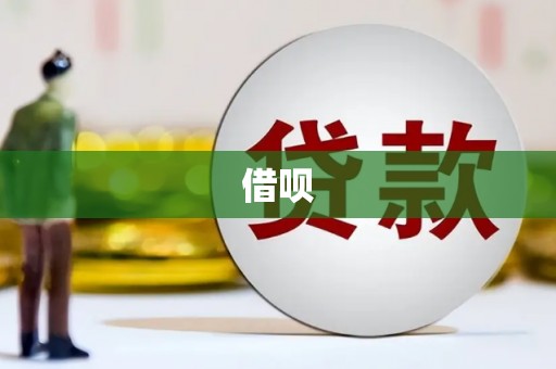 杂多借呗