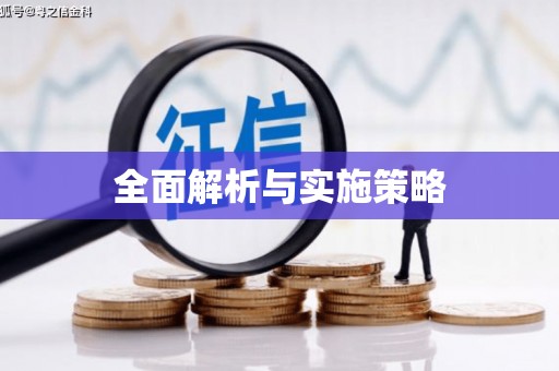 杂多全面解析与实施策略