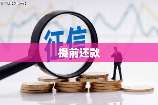 杂多提前还款