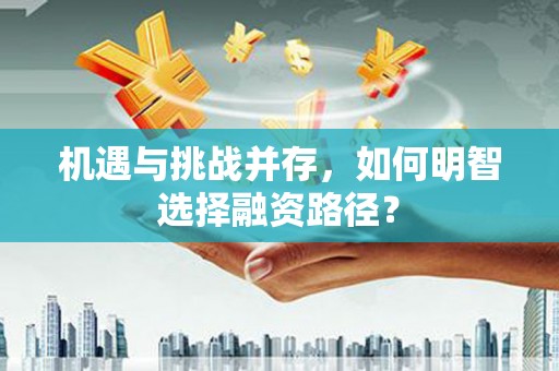 杂多机遇与挑战并存，如何明智选择融资路径？
