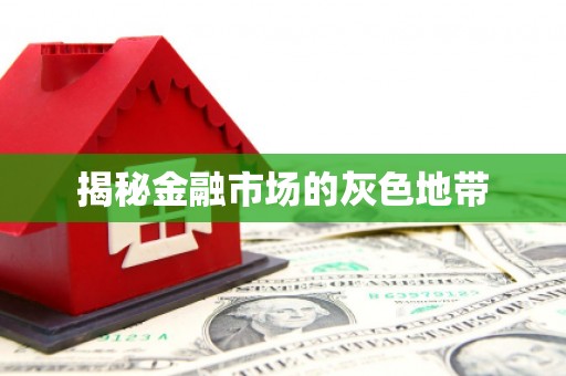 杂多揭秘金融市场的灰色地带