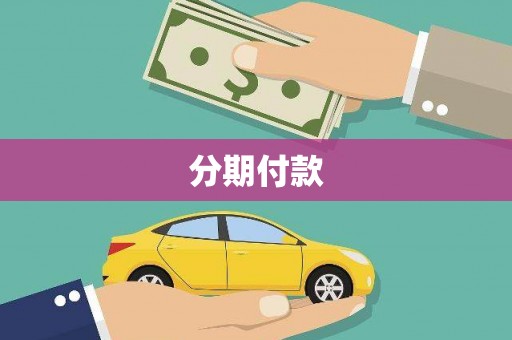 杂多分期付款