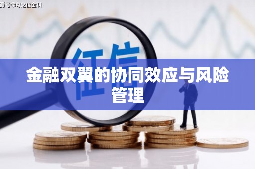 杂多金融双翼的协同效应与风险管理