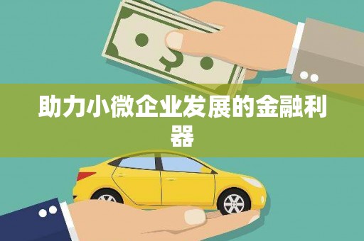 杂多助力小微企业发展的金融利器