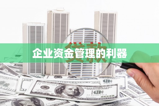 杂多企业资金管理的利器