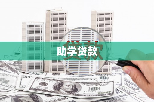 杂多助学贷款