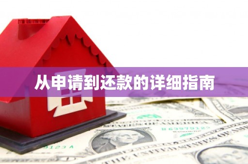 杂多从申请到还款的详细指南