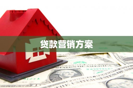 杂多贷款营销方案