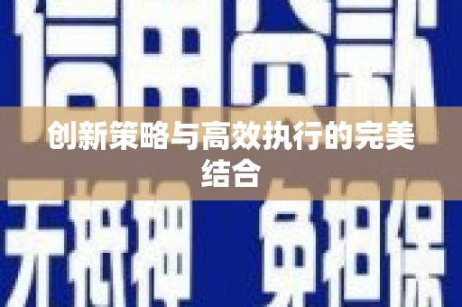 杂多创新策略与高效执行的完美结合