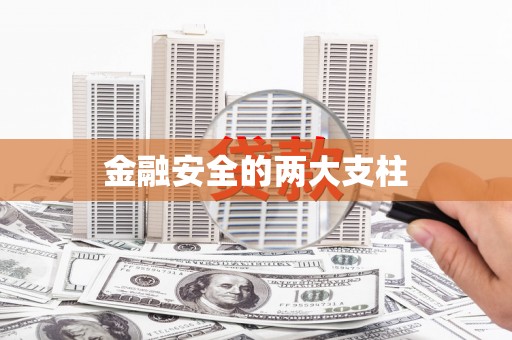 杂多金融安全的两大支柱