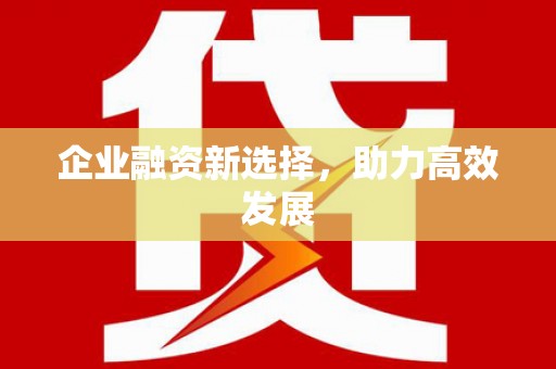 杂多企业融资新选择，助力高效发展