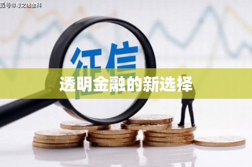 杂多透明金融的新选择