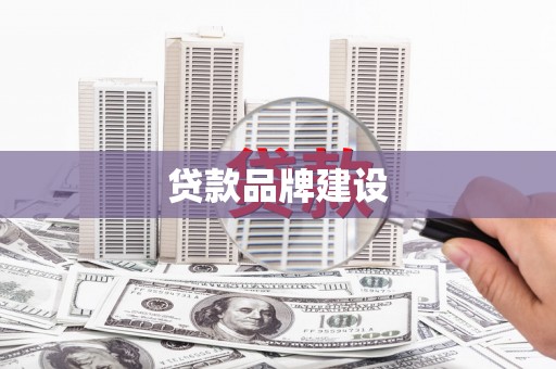 杂多贷款品牌建设