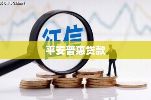 杂多平安普惠贷款