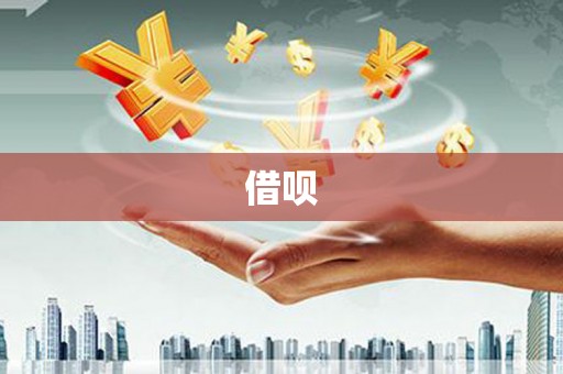 杂多借呗