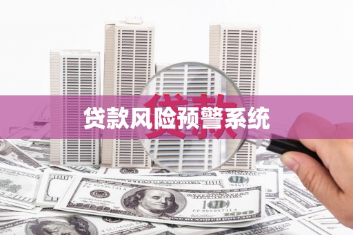 杂多贷款风险预警系统