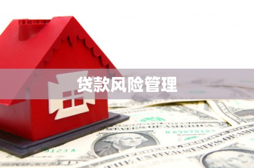 杂多贷款风险管理