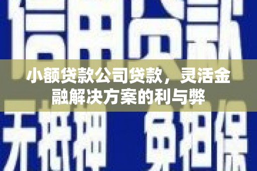 杂多小额贷款公司贷款，灵活金融解决方案的利与弊