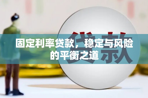 杂多固定利率贷款，稳定与风险的平衡之道
