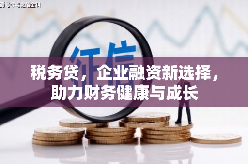 杂多税务贷，企业融资新选择，助力财务健康与成长