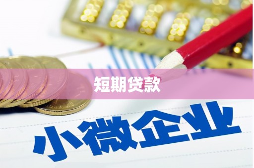 杂多短期贷款
