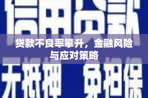 杂多贷款不良率攀升，金融风险与应对策略