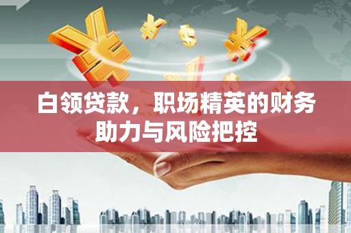 杂多白领贷款，职场精英的财务助力与风险把控