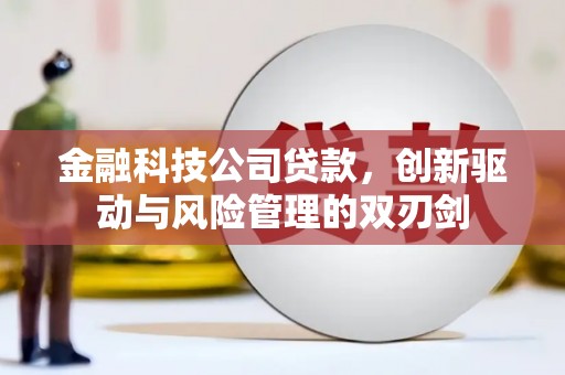 杂多金融科技公司贷款，创新驱动与风险管理的双刃剑