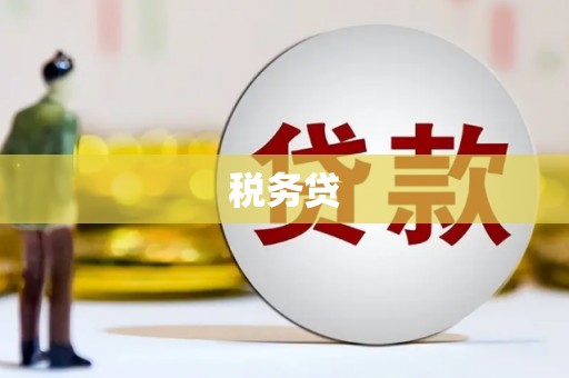 杂多税务贷