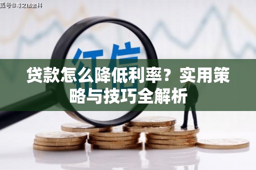 杂多贷款怎么降低利率？实用策略与技巧全解析
