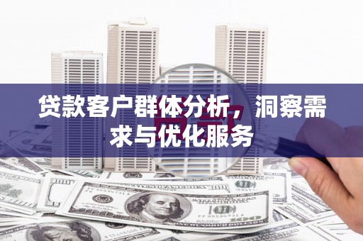 杂多贷款客户群体分析，洞察需求与优化服务